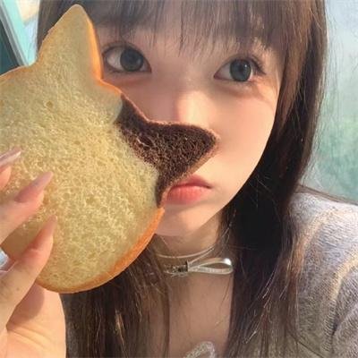 神鹰之拳